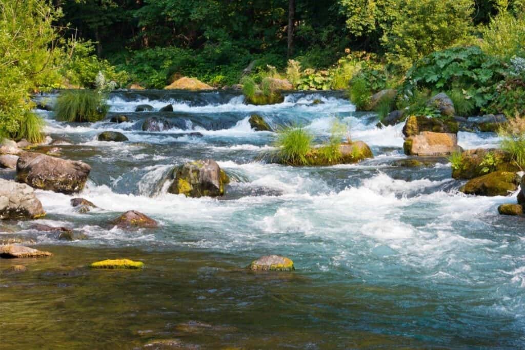 The McCloud River tumbles through several small rapids.