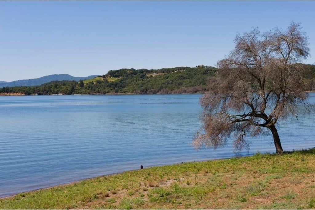 Lake Mendocino sparkles blue under clear skies near Ukiah, California.