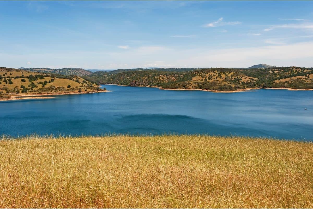 Scenic view of bright blue Pardee Lake and dry yellow grass.