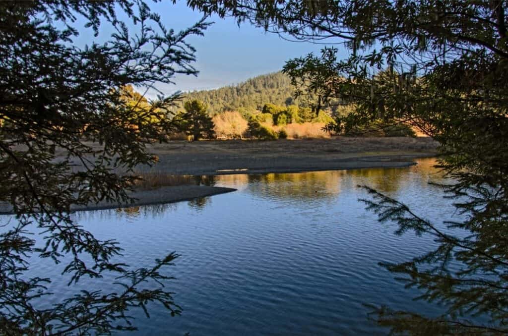 A slow pool in the Russian River in the late afternoon shadows.