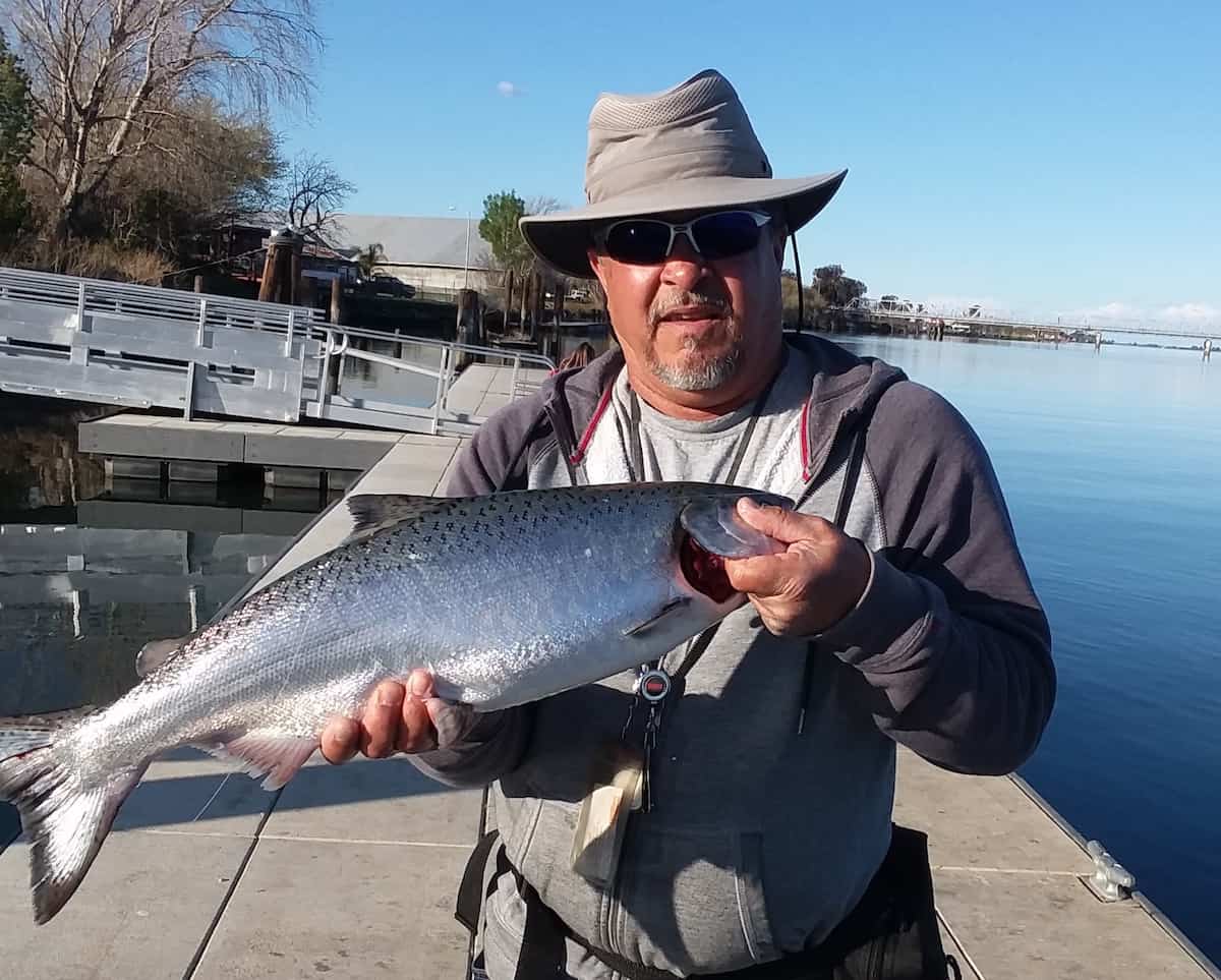 Man holding salmon caught in the Sacramento River.