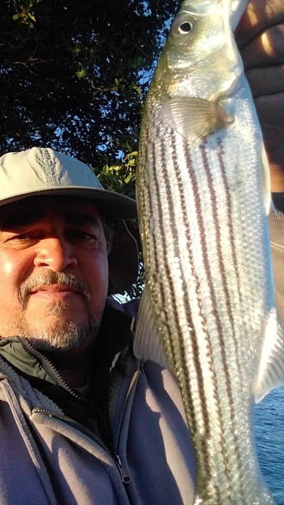 An angler takes a selfie photograph holding a large striped bass.