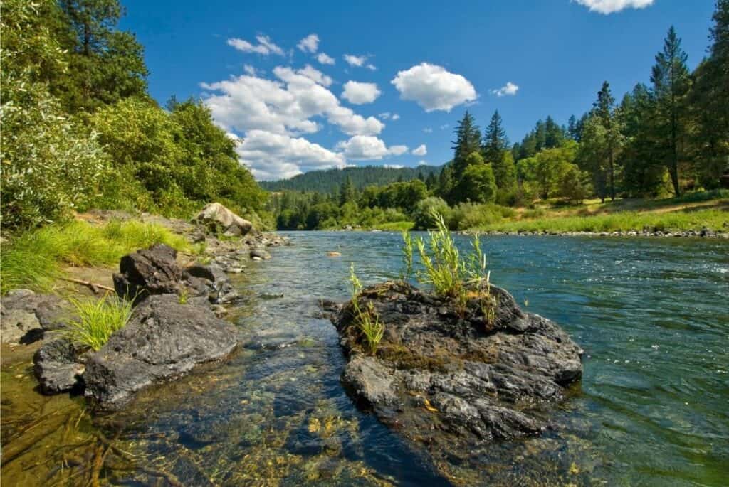 The Trinity River flows sparking green through a forested landscape.