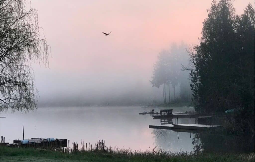The sun rises through the mist at Tanwax Lake south of Tacoma, Washington.