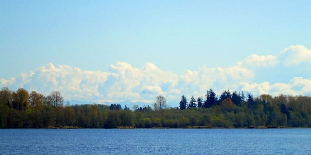 Lake Terrell sitting blue under billowing white clouds.