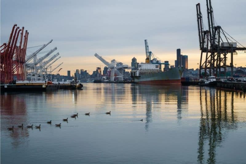 Ducks on the Duwamish River (Green River) in the lower industrial section.