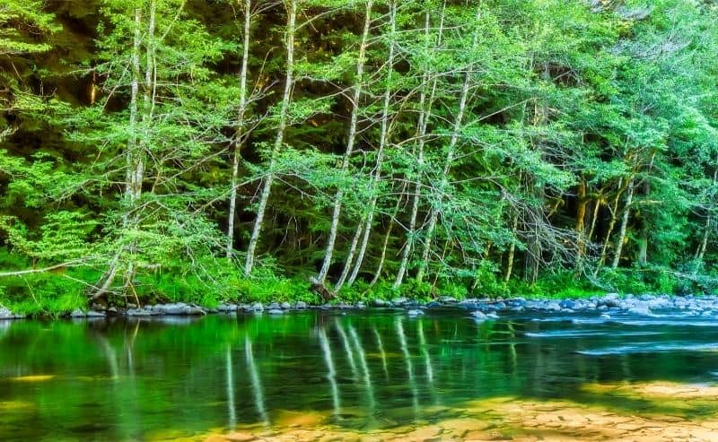 Scenic view of the Kalama River.