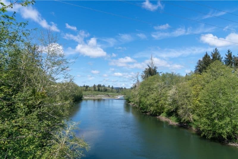 A calm stretch of the Bogachiel River under blue skies.