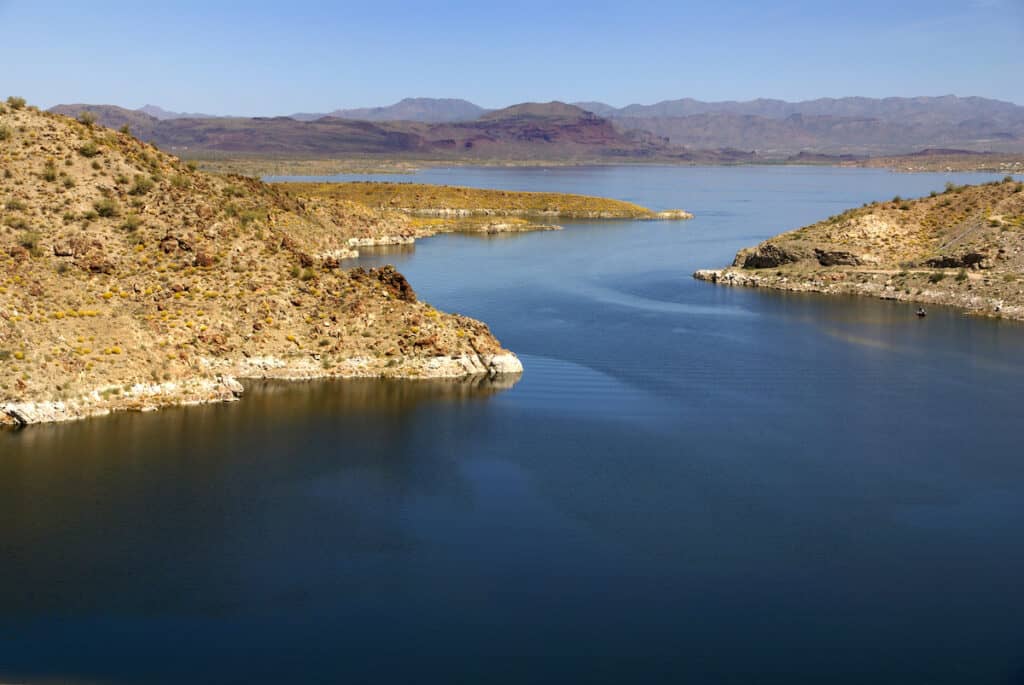 The blue water of Alamo Lake curves between barren rocks.