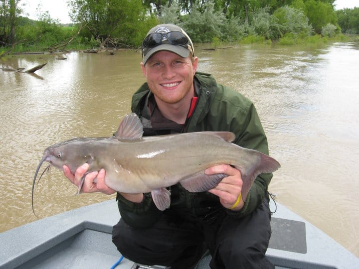 A man in a boat holds up a nice sized channel catfish he caught fishing in the Yellowstone River in Montana.