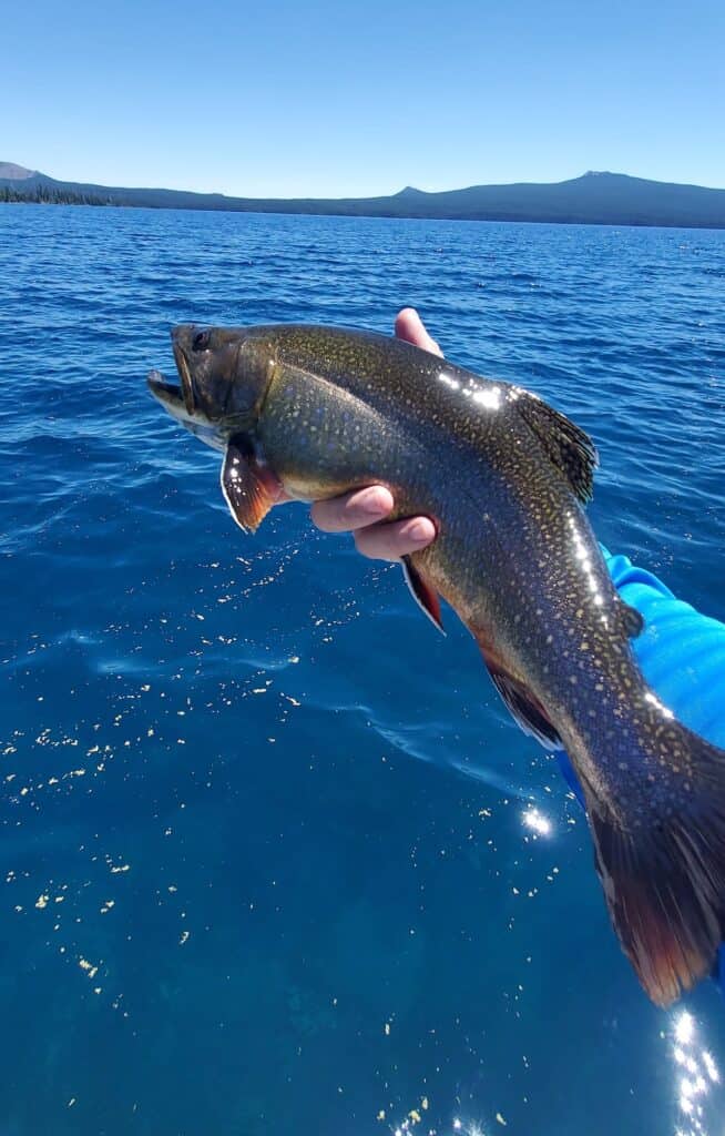 Angler's hand holds lake trout with the blue waters of Waldo Lake, Oregon, in the background.