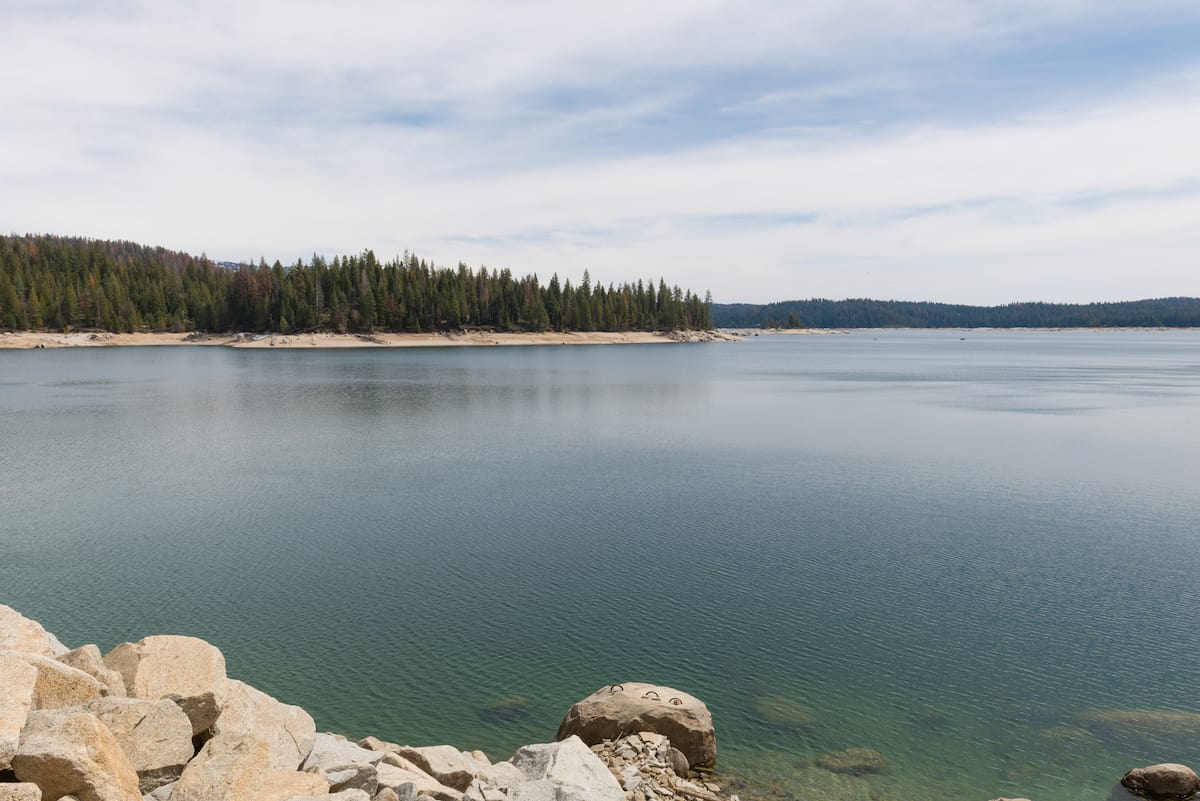 Scenic photo of the shoreline at Shaver Lake, best known for kokanee and trout fishing.
