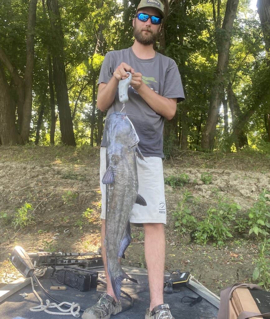 A standing fisherman holds a huge Oklahoma catfish that stretches from his torso to the ground.