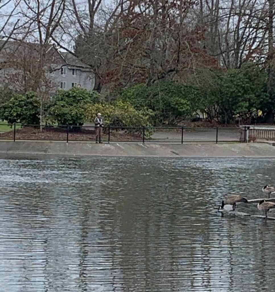 An angler tries his fishing luck in the lower pond at Alton Baker Canoe Canal while Canada geese look on.