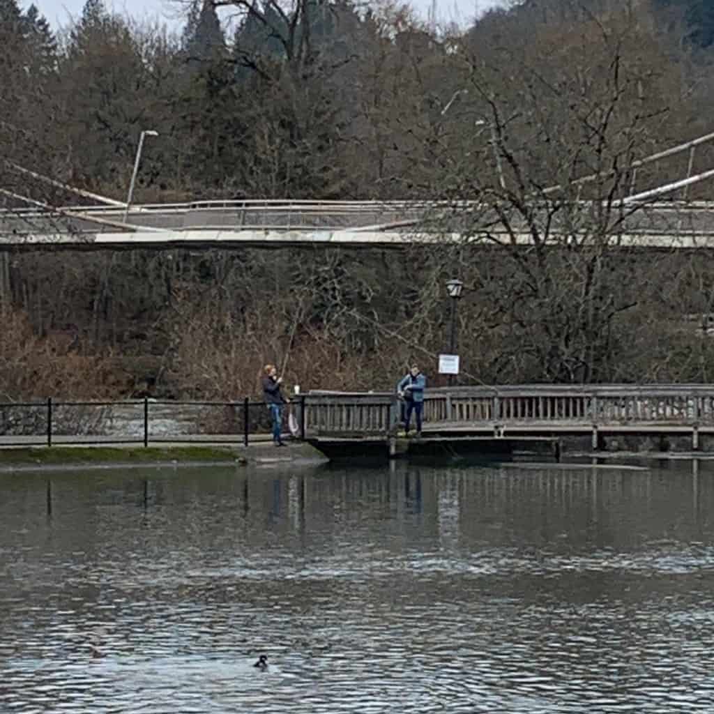 Two fly fisherman cast into the lower pool at Alton Baker Canoe Canal.