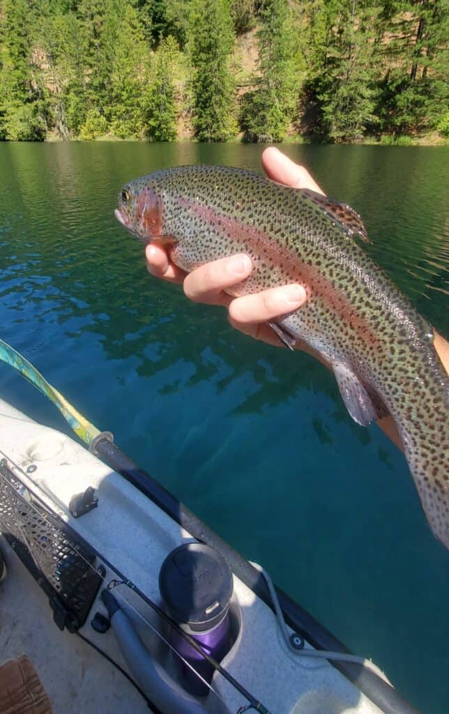 An angler holds a freshly caught rainbow trout over the water at Harriet Lake, a quiet fishing lake near the Clackamas River.