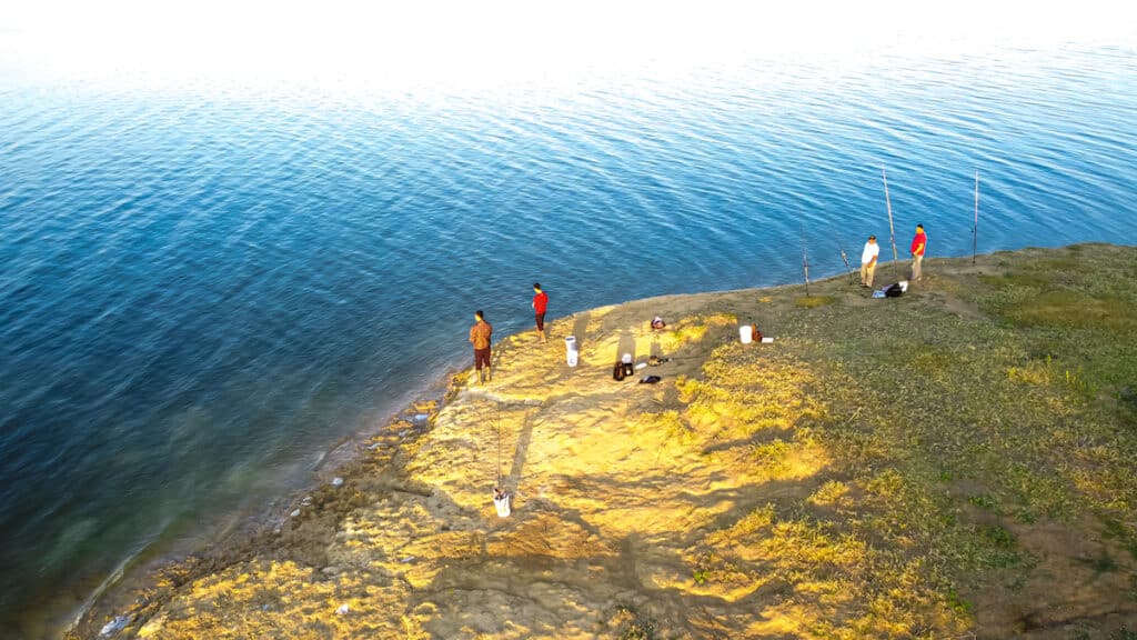 Four people fishing from the bank at dawn at Lake Lavon, a good place to catch catfish and other fish near Dallas, Texas.