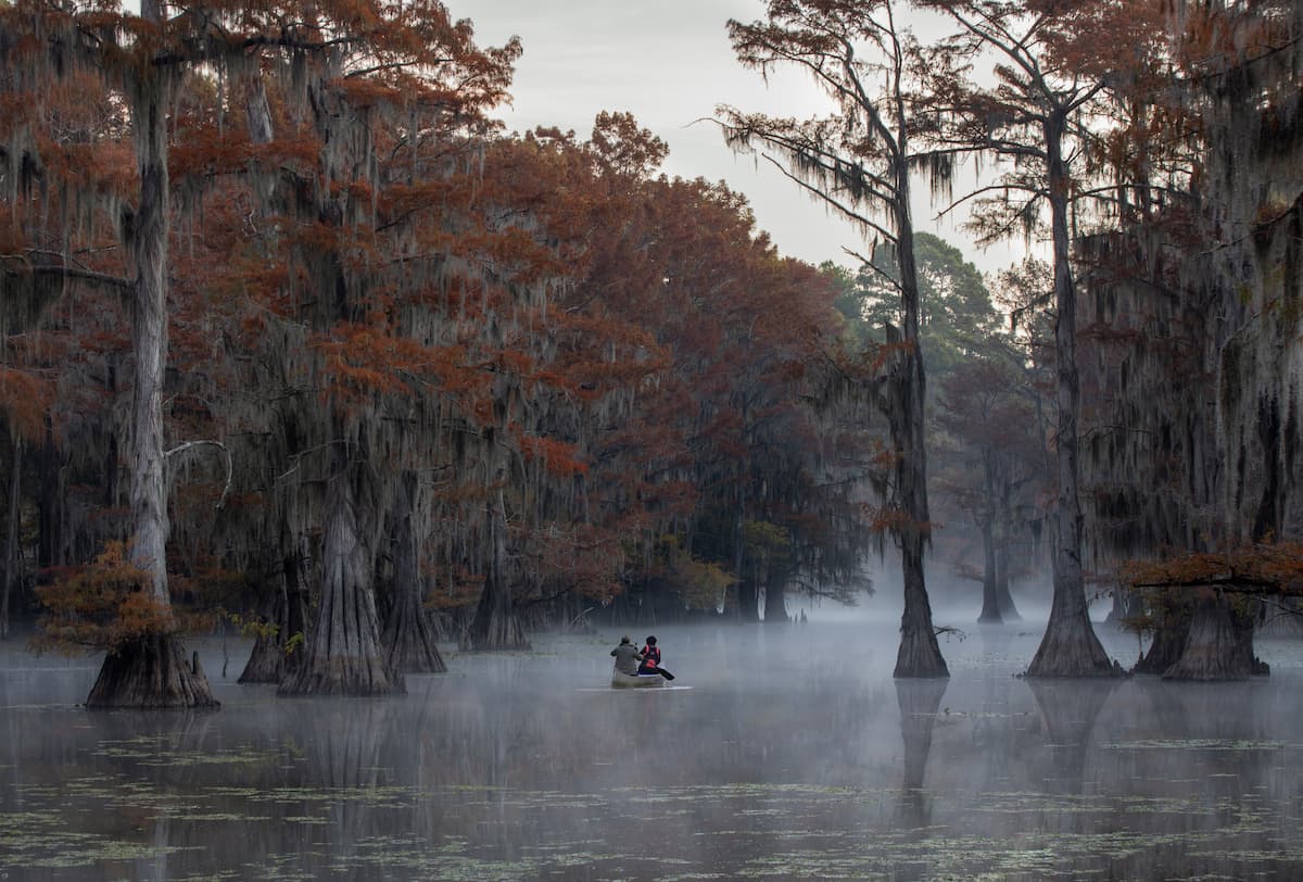 A couple in a canoe paddle between Cypress Trees in low light at Caddo Lake on the Texas-Louisiana border.