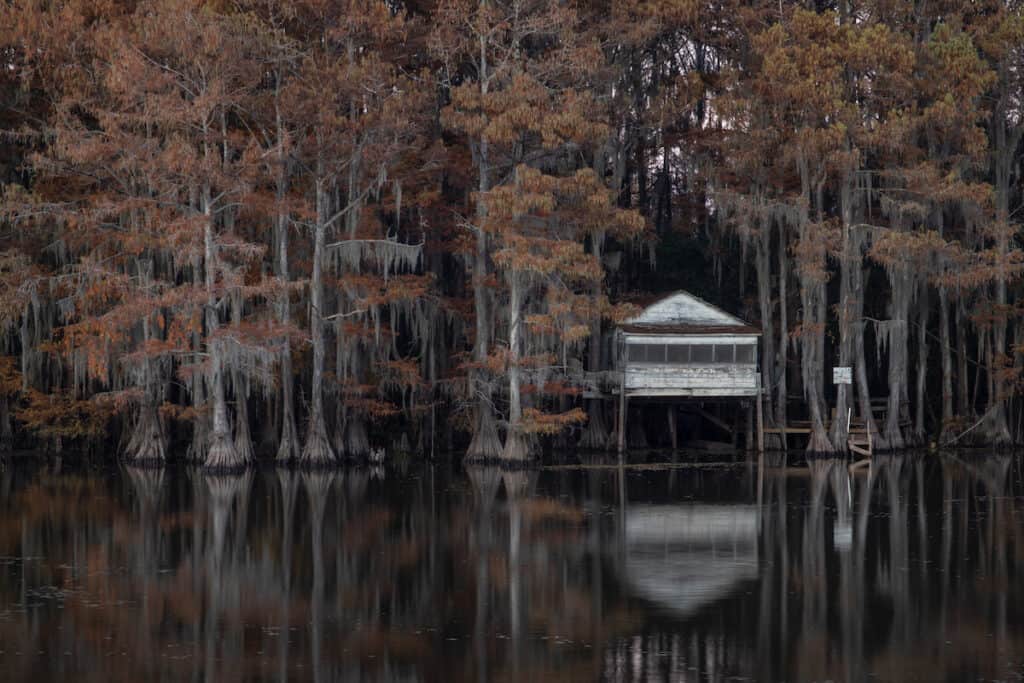 Lake Cataouatche (lake, cataouatche, best bass fishing lakes, Louisiana Cypress Bayou Reservoir) A calm sunrise at Caddo Lake on the Texas and Louisiana border, a top bass fishing spot.
