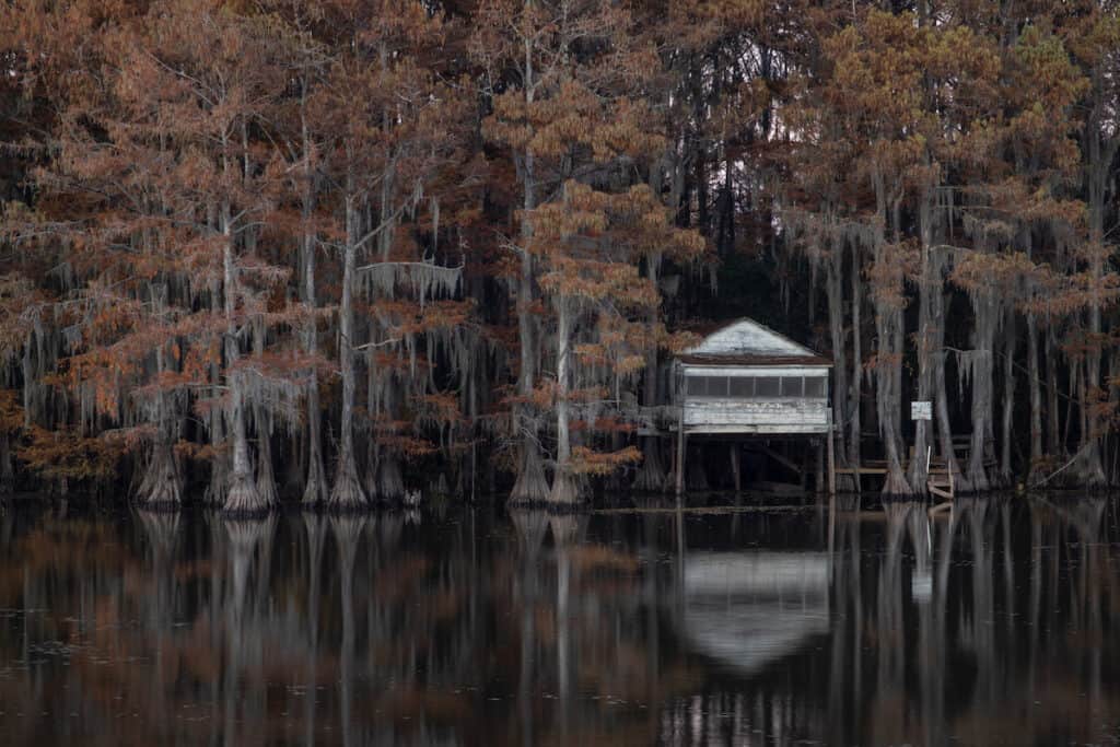 A home on stilts sits above the quiet surface of Caddo Lake, surrounded by cypress trees. These kinds of structures are good for bass fishing.