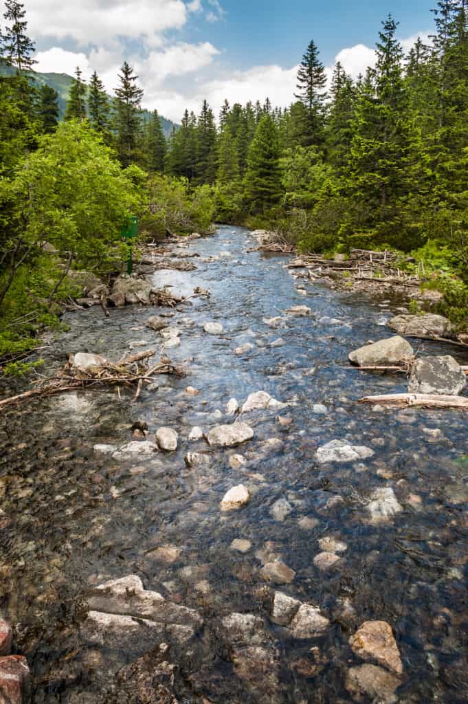 The Duchesne River flows clear across a rocky riverbed in forested mountains of Utah.