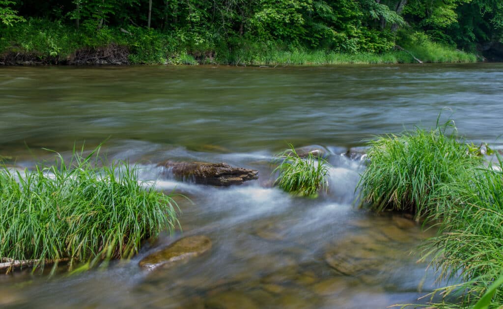 A long exposure of the Beaverkill River flowing between tufts of green grass beneath a promising trout holding run.