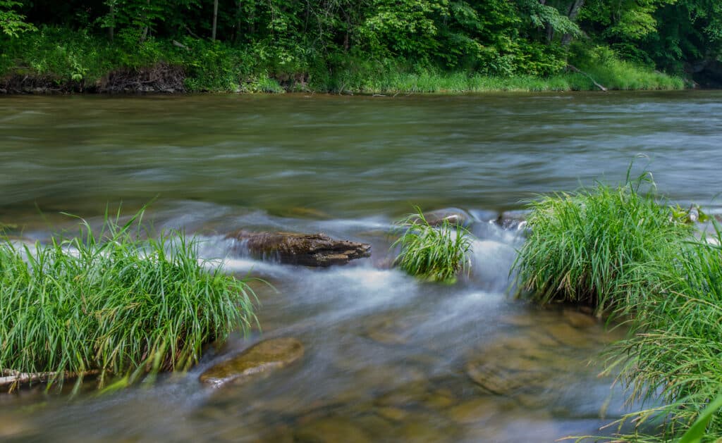A long exposure of the Beaverkill River flowing between tufts of green grass beneath a promising trout holding run.