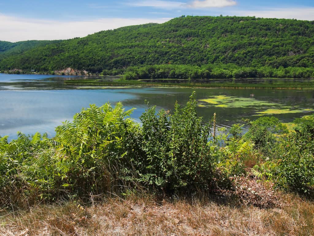 A shallow, weedy area good for bass fishing on Lake Champlain near Ticonderoga, New York.