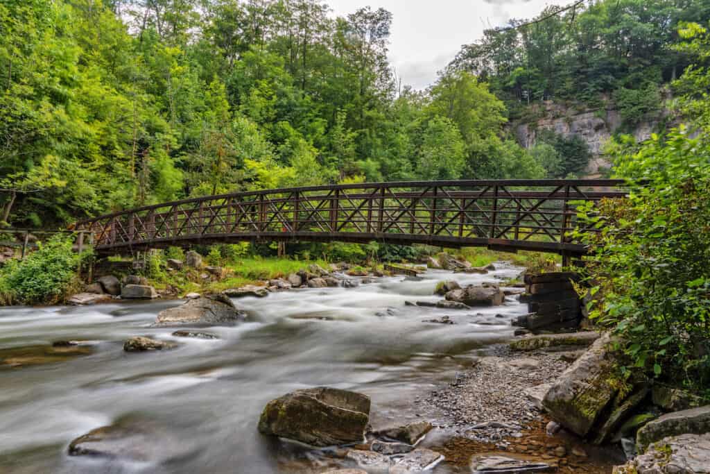 Chittenango Creek rushes beneath a bridge in Chittenango Falls State Park, toward some excellent brown trout fishing spots downstream.