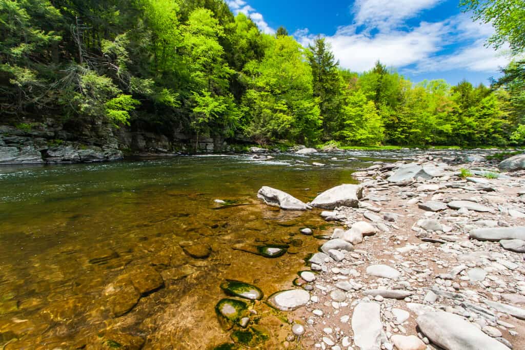 The Neversink River flowing through a fish-holding run and then into white rapids over rocks.