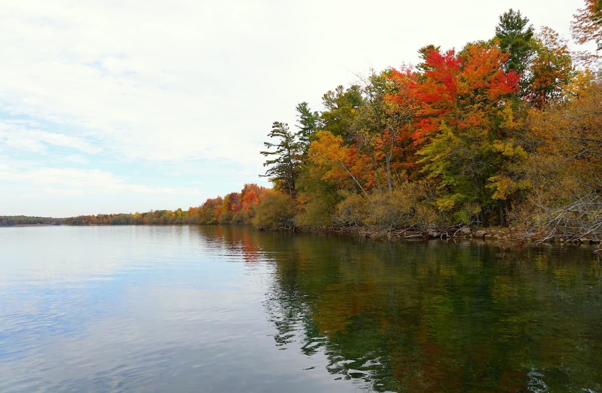 The placid surface of the St. Laurence River reflects red and yellow leaves on riverside trees in autumn.
