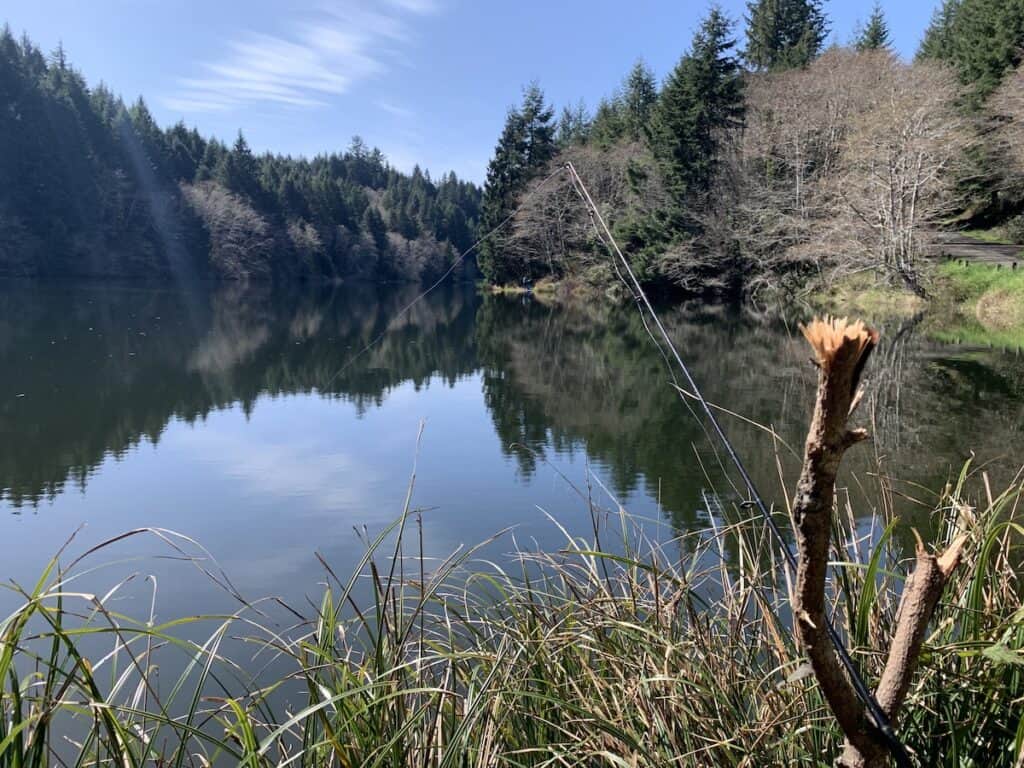 A fishing rod perched on a forked stick, waiting for a trout to bite at Big Creek Reservoir 2.