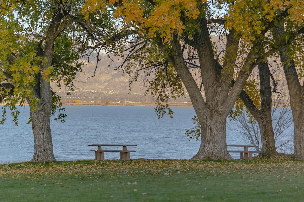 Picnic area on the banks of Utah Lake, which has excellent catfish fishing.