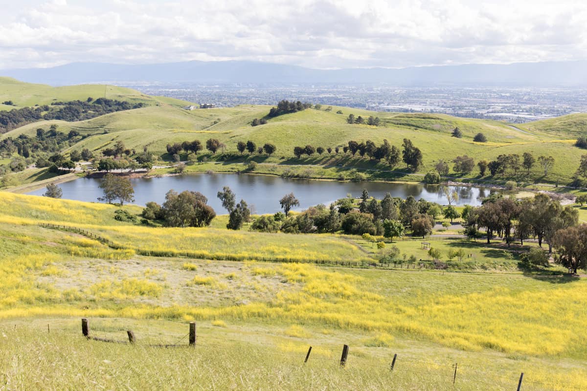 Sandy Wool Lake surrounded by green grass and trees in the spring, when fishing is at its best.