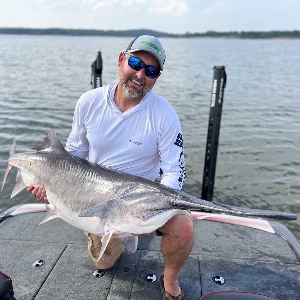 Angler kneeling on a boat in a lake and holding a massive spoonbill (paddlefish) he caught at Keystone Lake in Oklahoma.