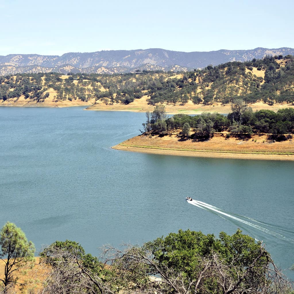 A fishing boat speeds across the blue surface of Lake Berryessa, the best fishing spot in Napa County.