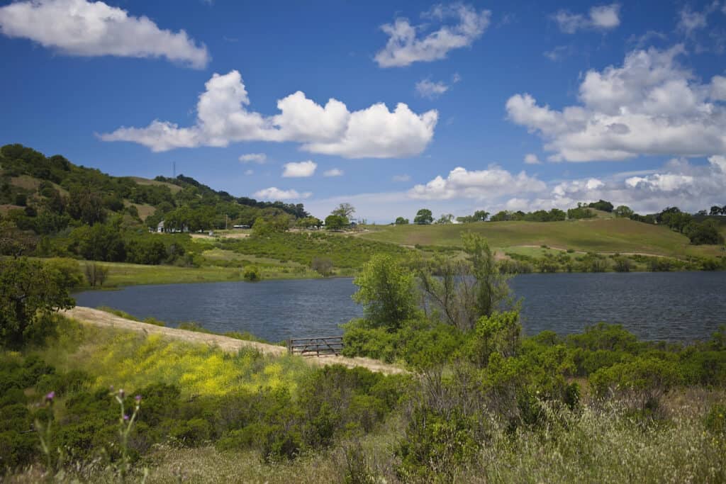 Grant Lake in San Jose, California, under blue sky with white clouds, offers fishing and other outdoors activities.
