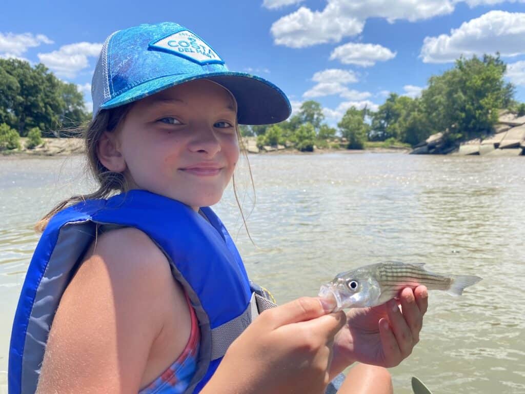 A girl holds a small striped bass she caught in the Lower Illinois River.