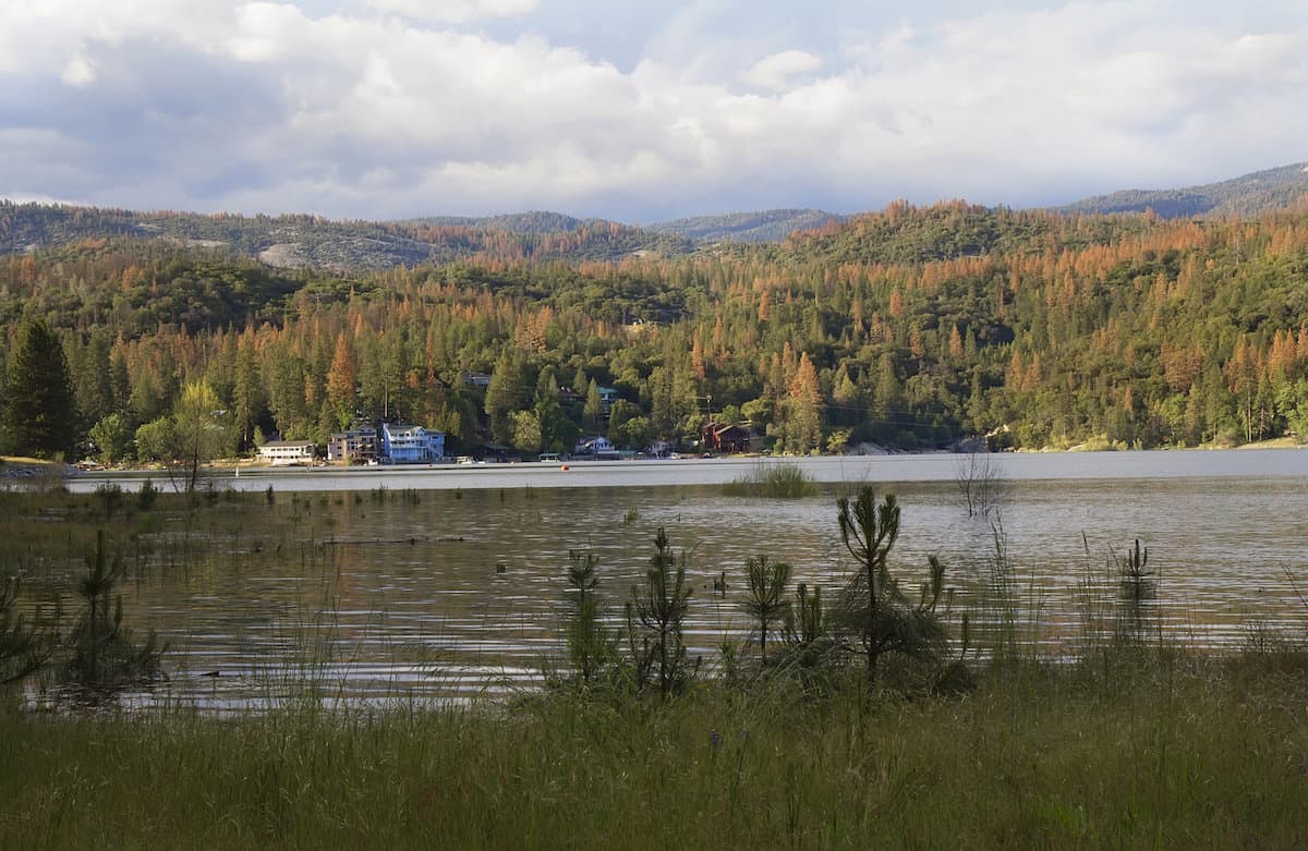 Scenic view of Bass Lake, a great fishing spot in Madera County, California.