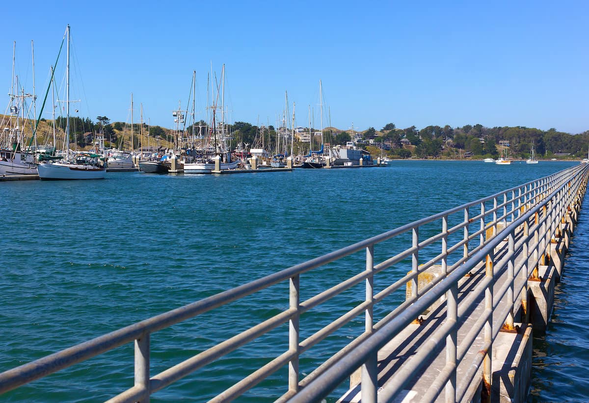 Fishing and crabbing pier with boats in background at Bodega Bay, Sonoma County, California.