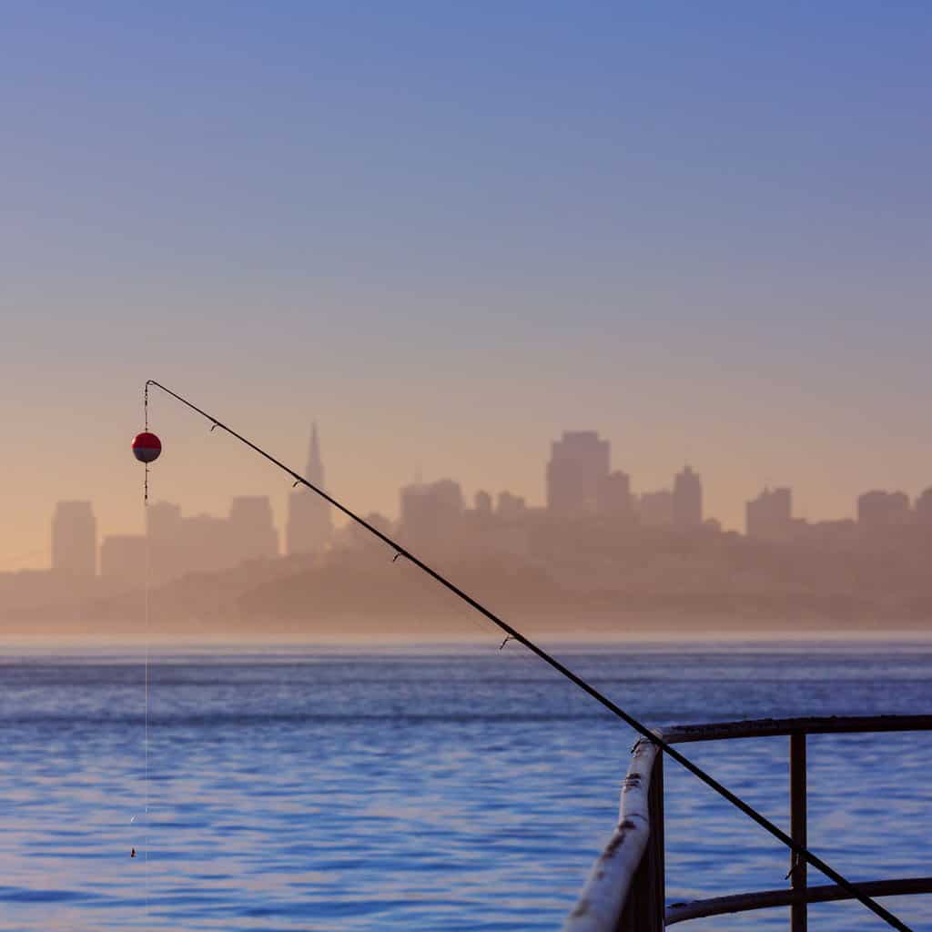 Where Are the Best Fishing Spots in San Francisco? - Best Fishing in America