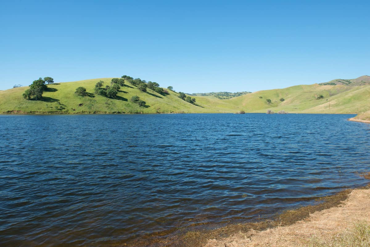 Light green hills frame the blue waters of San Luis Reservoir, known for striped bass fishing.