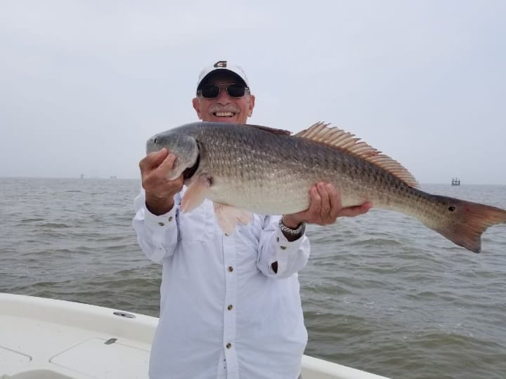 Angler on a boat holding up a large redfish caught fishing in Louisiana.