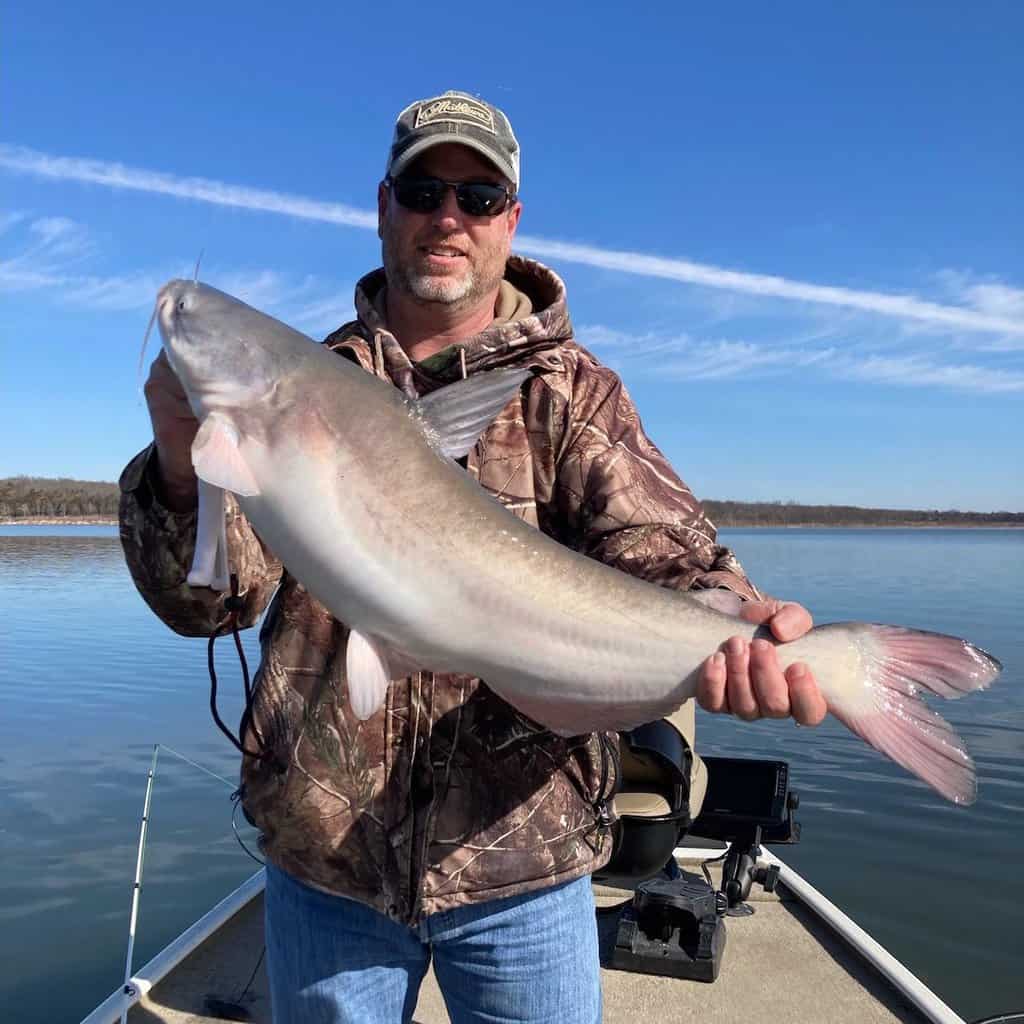 An angler on a boat holds up a very large catfish he caught fishing at Truman Lake in Missouri.