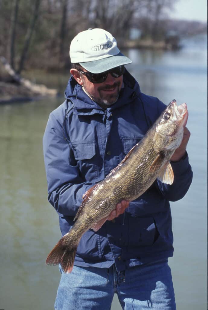 An angler holds a nice-sized saugeye caught fishing in an Ohio lake.