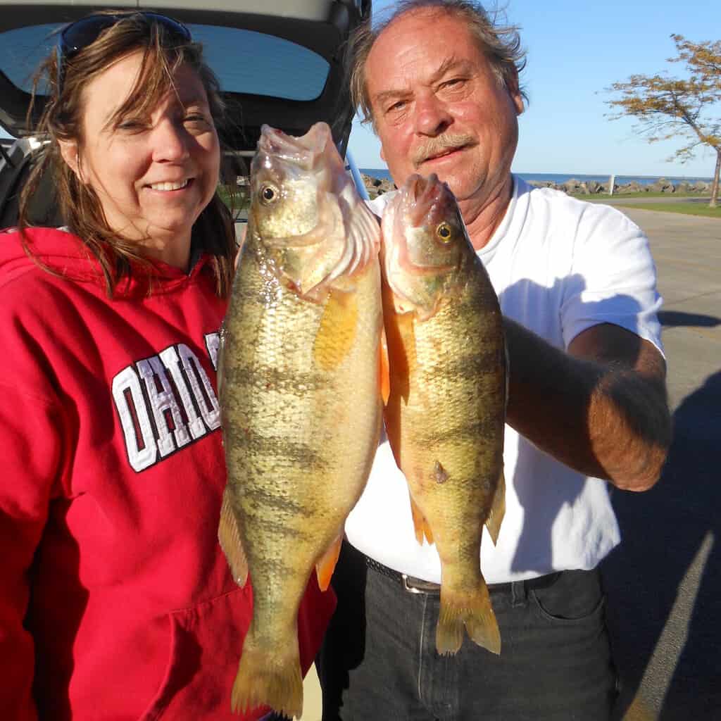 Anglers hold up two yellow perch including a giant one caught in Lake Erie in Ohio.