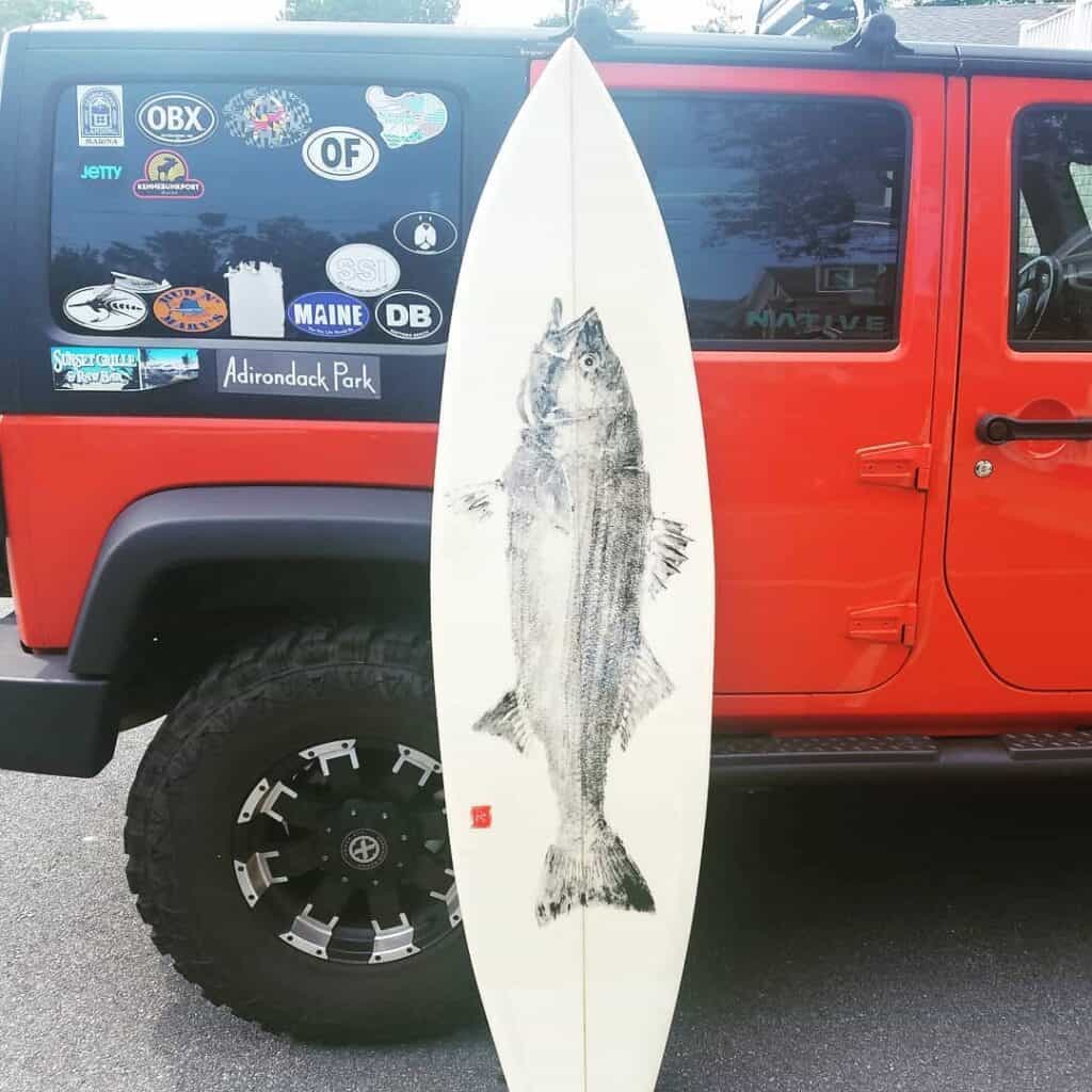 A drawing of a striped bass on a surf board in Massachusetts, where fishing and surfing are both favorites along the beaches.