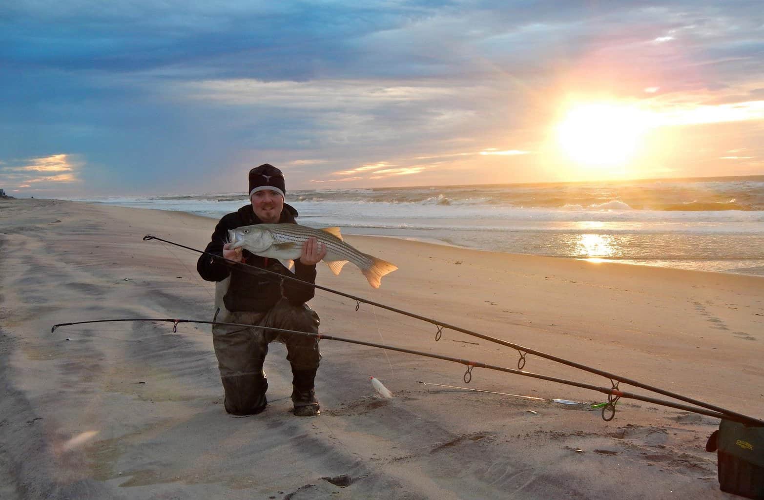 An angler holds up a large striped bass caught fishing on a New York beach, with the sun setting over the surf in the background.