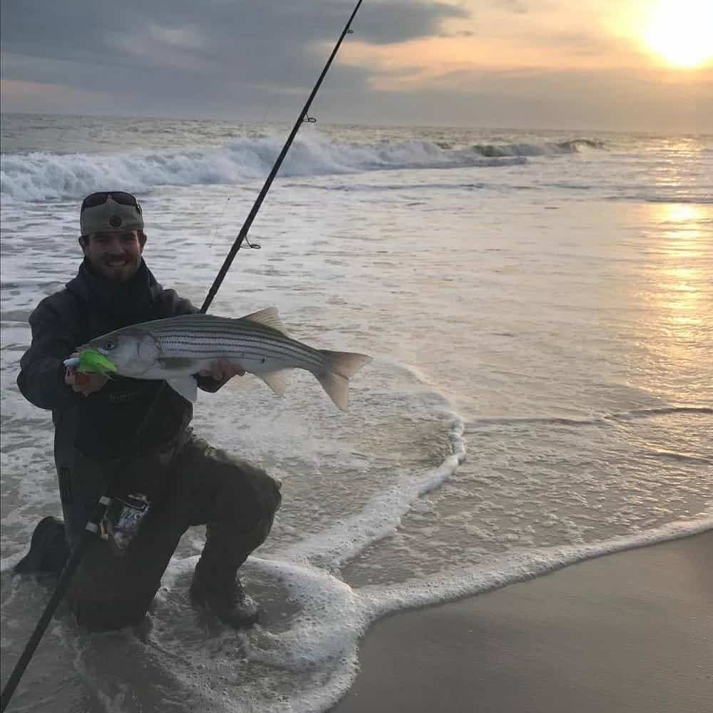 An angler kneels in the surf while holding a large striped bass with a green bucktail lure still in its mouth.