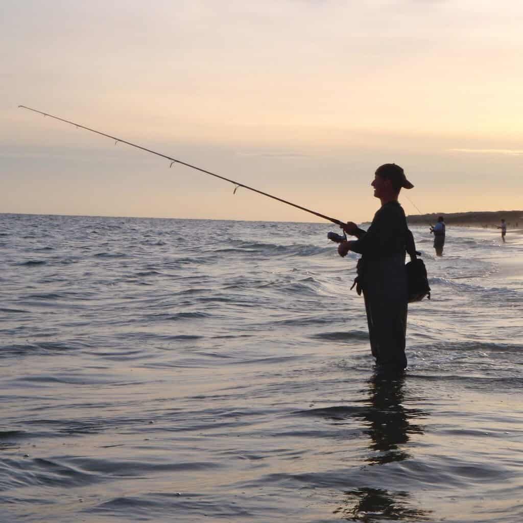 A surf anglers fishing for striped bass along the coast of New York in silhouette, with other anglers in the background along the beach.